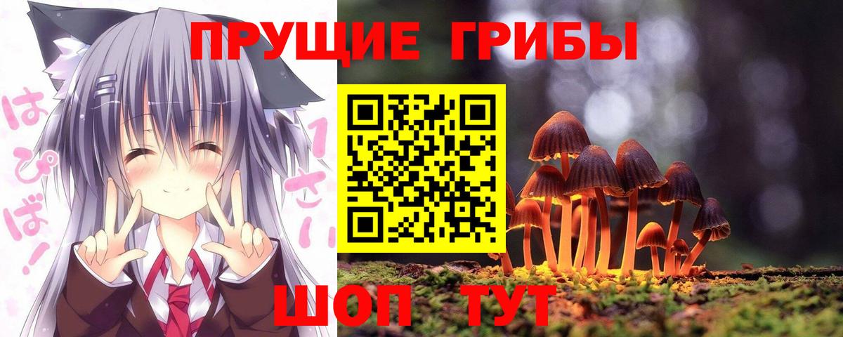 Галлюциногенные грибы Psilocybe  купить  сайты  Дзержинск  Вход с VPN 